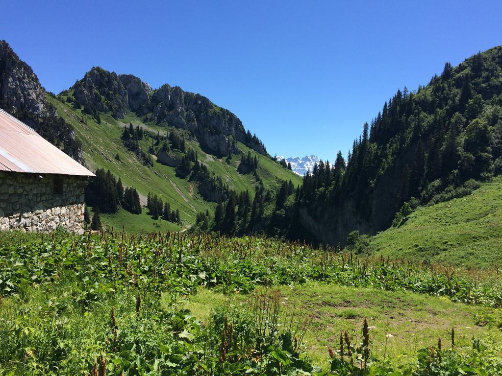 Bed and Breakfast Les Balcons Du Leman Thollon-les-Memises Exteriér fotografie